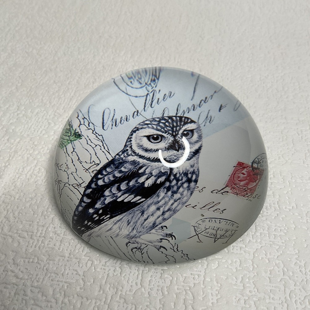 VINTAGE Owl Print Living Wisdom Dome Art Glass Paperweight Round